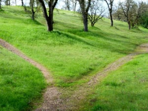 hiking-path-599